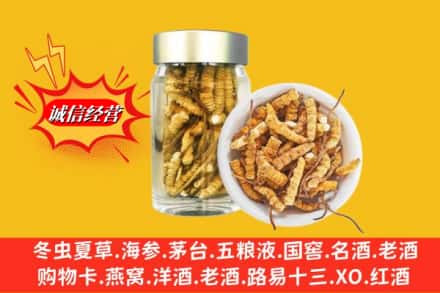 抚顺东洲区名酒回收散虫草.jpg