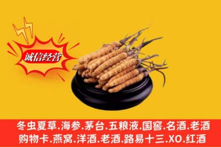 抚顺东洲区名酒回收冬虫夏草.jpg